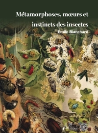 Livro Métamorphoses, mœurs et instincts des insectes Blanchard