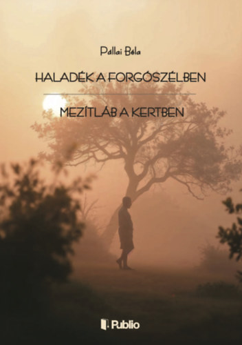 Kniha Haladék a forgószélben Pállai Béla