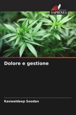 Kniha Dolore e gestione Kanwaldeep Soodan