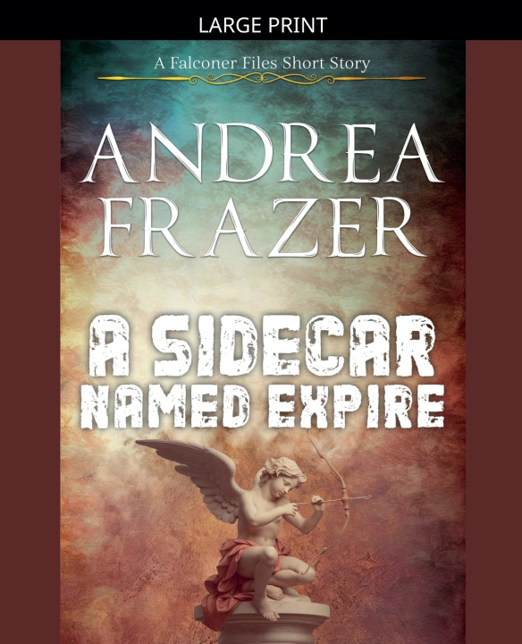 Kniha A Sidecar Named Expire Andrea Frazer