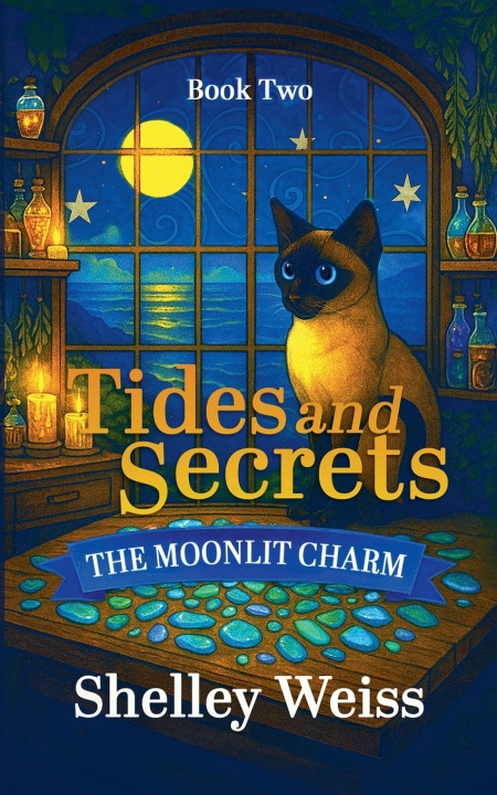 Knjiga Tides and Secrets Shelley Weiss