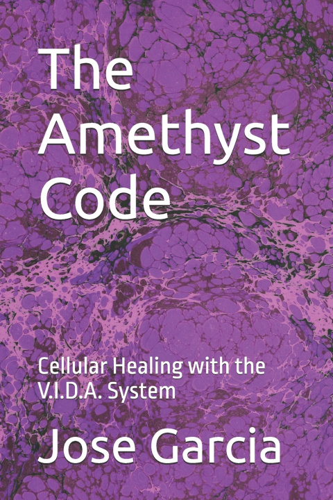 Kniha The Amethyst Code Jose Garcia