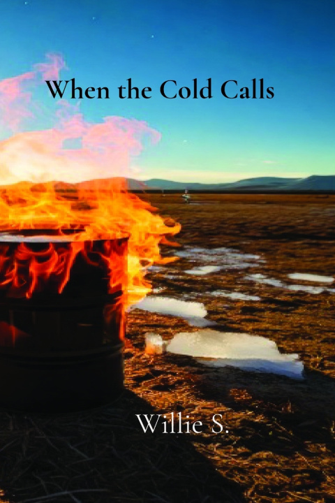 Kniha When the Cold Calls Willie S.