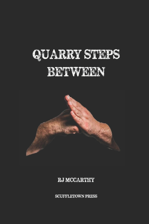 Kniha Quarry Steps Between RJ McCarthy