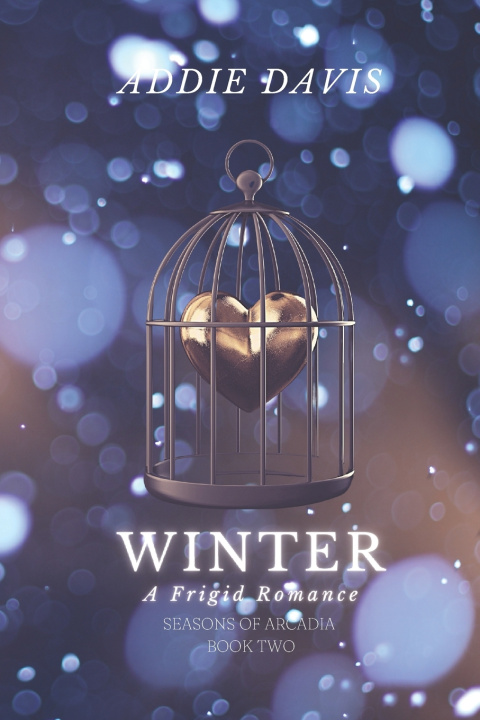 Kniha Winter Addie Davis