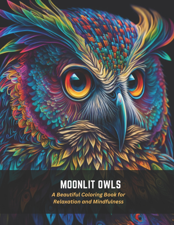 Kniha Moonlit Owls Carlos Floyd