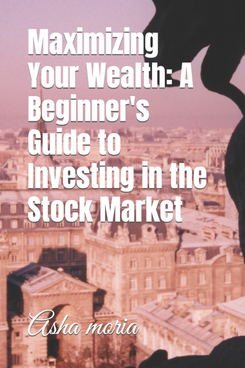 Kniha Maximizing Your Wealth Asha moria