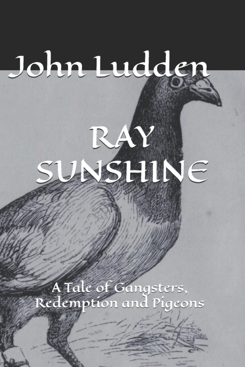 Knjiga RAY SUNSHINE John Ludden