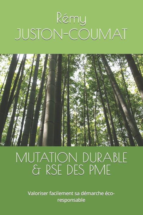 Kniha MUTATION DURABLE & RSE DES PME Rémy JUSTON-COUMAT