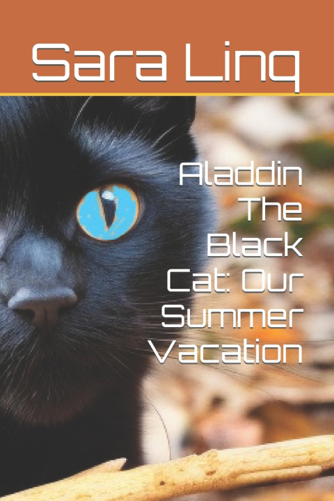 Knjiga Aladdin The Black Cat Sara Linq