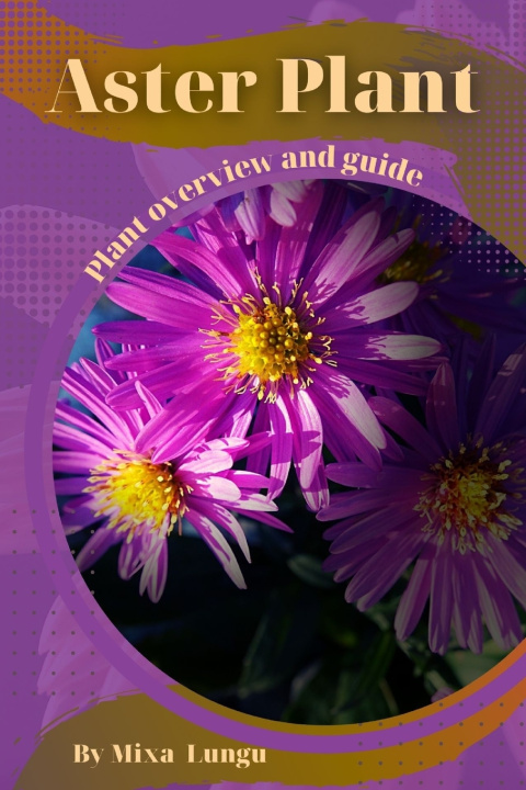 Kniha Aster Plant Mixa Lungu