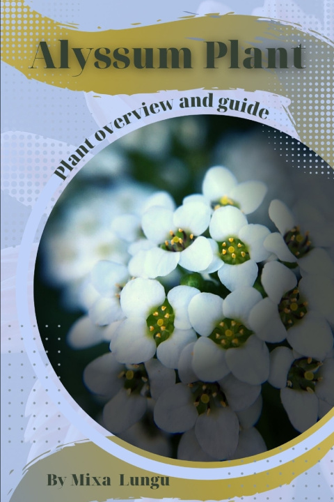 Libro Alyssum Plant Mixa Lungu