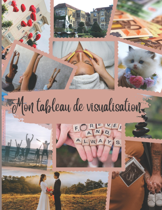 Kniha Mon tableau de visualisation Healer Lover