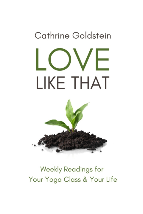 Buch Love Like That Cathrine Goldstein