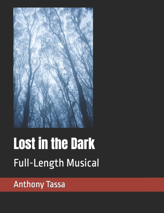 Kniha Lost in the Dark Anthony Tassa