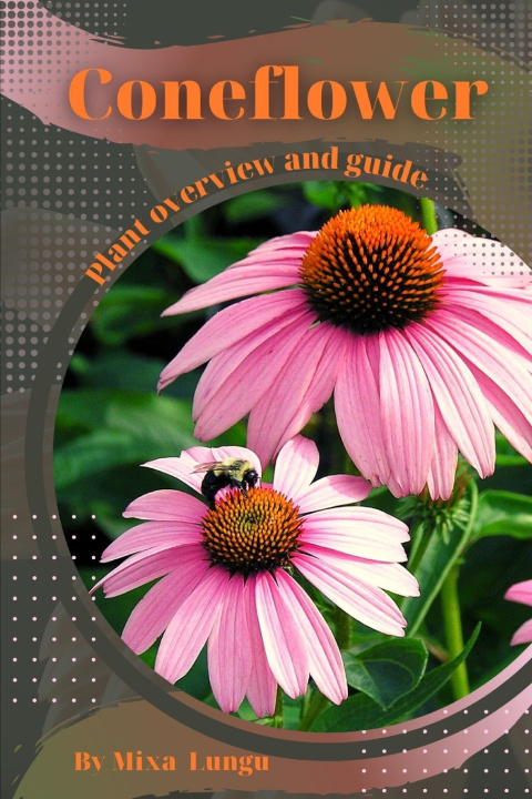 Kniha Coneflower Mixa Lungu