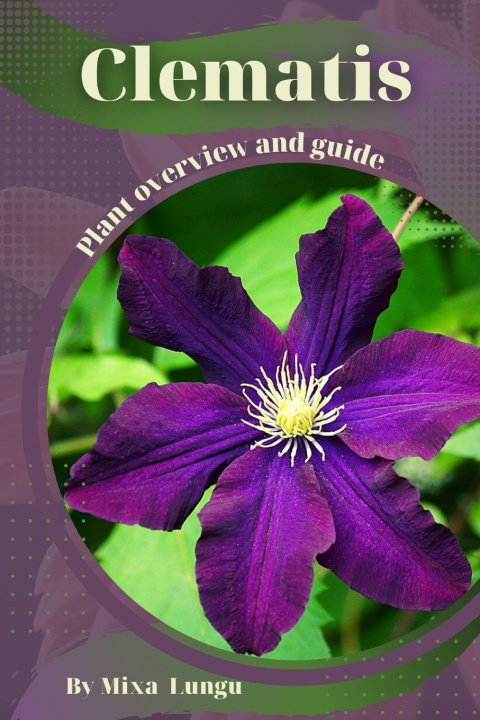 Kniha Clematis Mixa Lungu