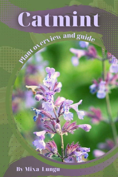 Kniha Catmint Mixa Lungu