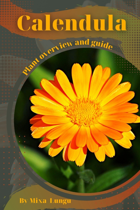 Kniha Calendula Mixa Lungu