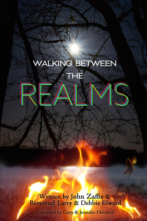 Buch Walking Between the Realms Debbie Elward