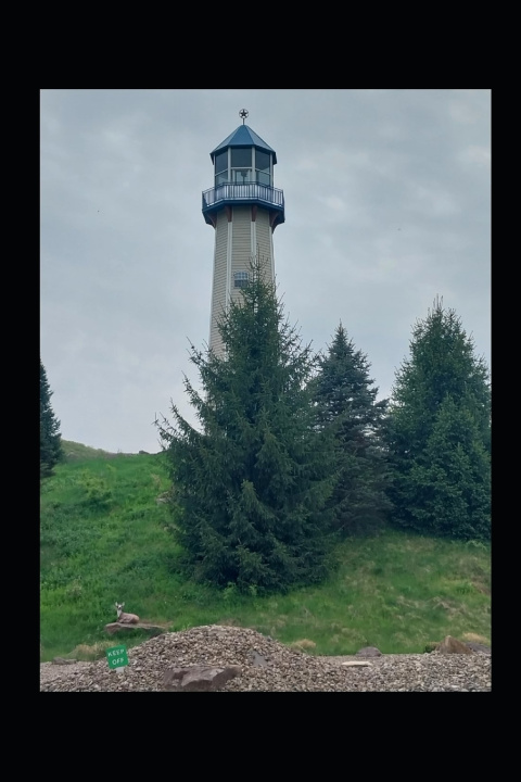 Kniha Tales from the Lighthouse Alex M