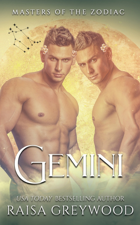 Kniha Gemini Raisa Greywood