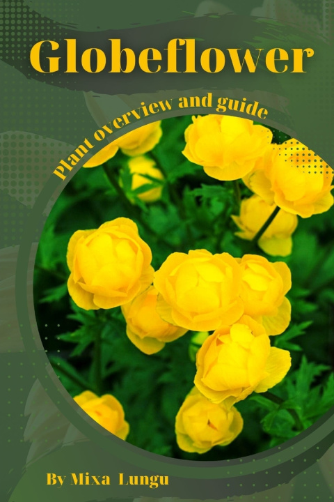 Kniha Globeflower Mixa Lungu