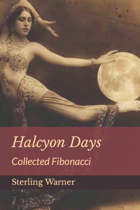 Kniha Halcyon Days Sterling Warner