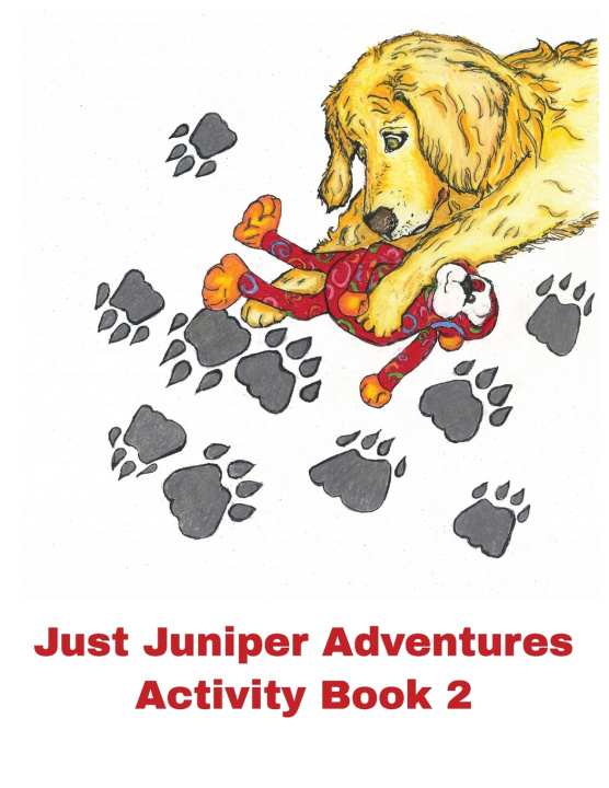 Kniha Activity Book 2 Irene Hernández
