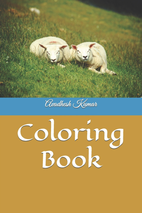 Book Coloring Book Avadhesh Kumar