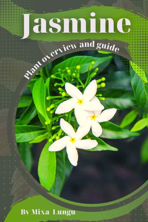 Kniha Jasmine Mixa Lungu