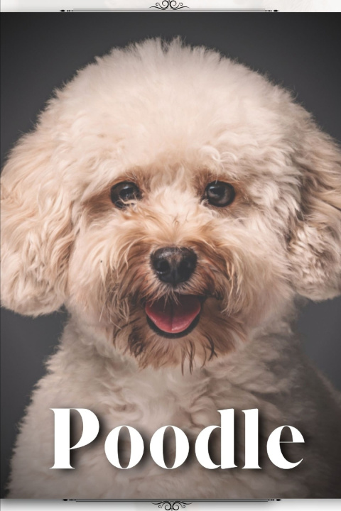 Kniha Poodle Nina Pustova