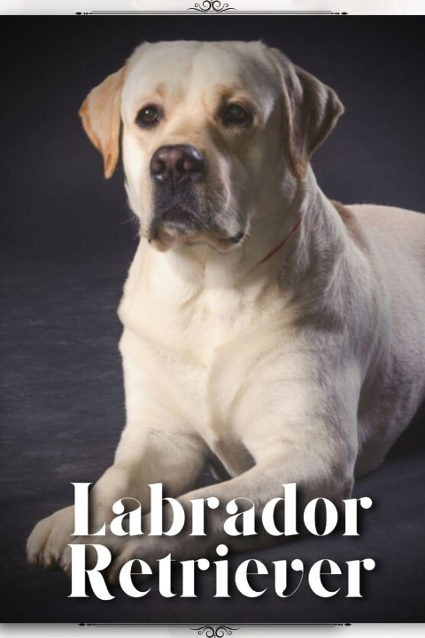 Kniha Labrador Retriever Nina Pustova