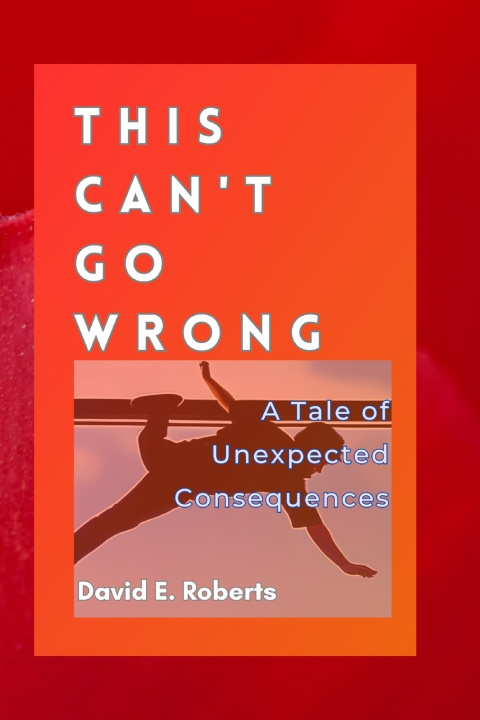 Kniha This Can't Go Wrong David E. Roberts