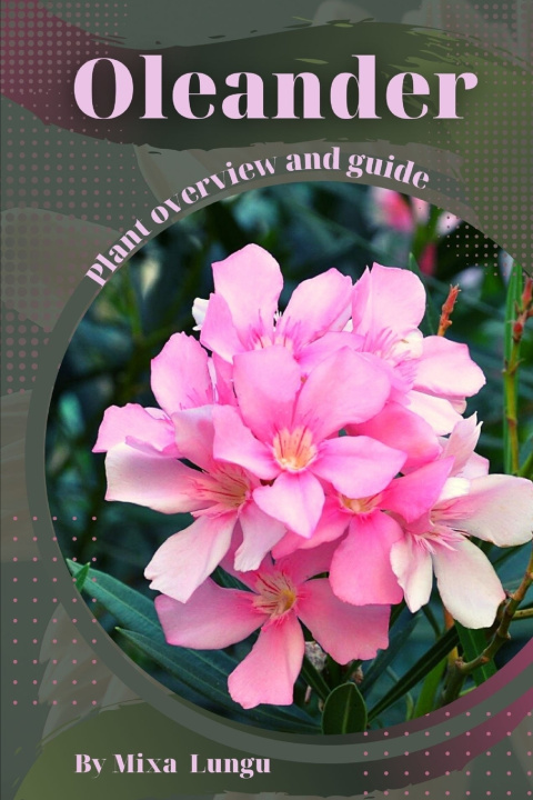 Kniha Oleander Mixa Lungu