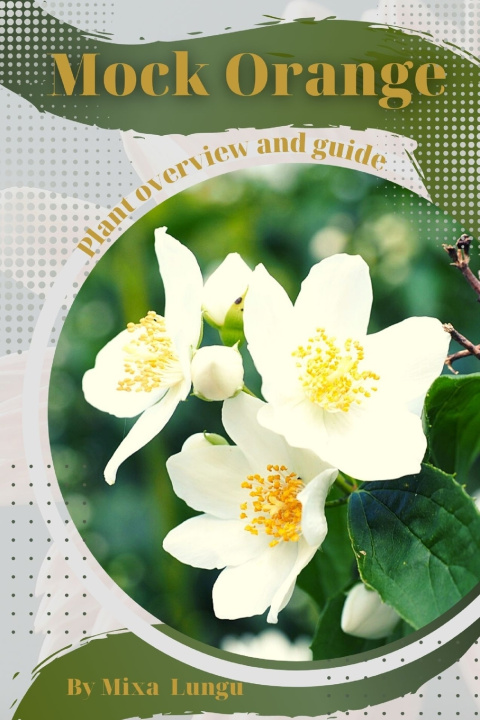 Kniha Mock Orange Mixa Lungu