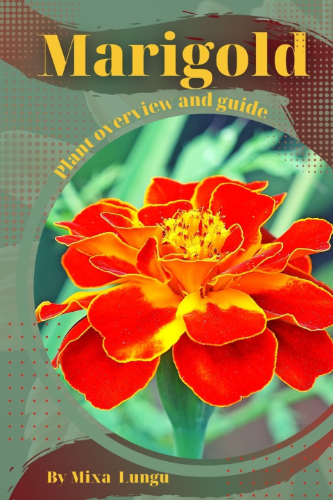 Kniha Marigold Mixa Lungu
