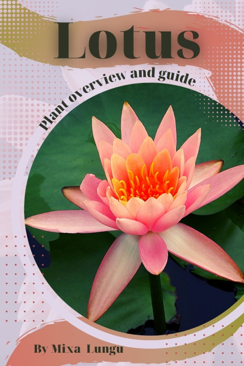 Kniha Lotus Mixa Lungu