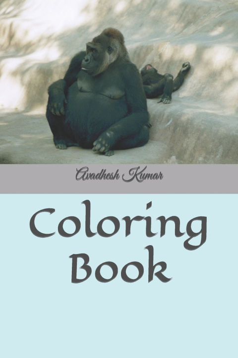 Knjiga Coloring Book Avadhesh Kumar