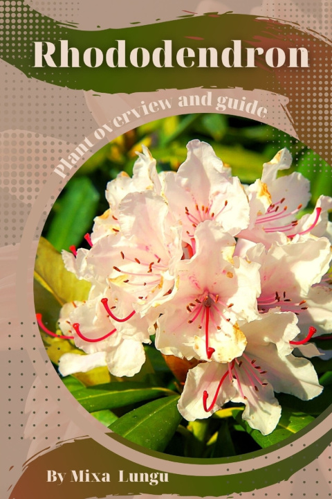 Kniha Rhododendron Mixa Lungu