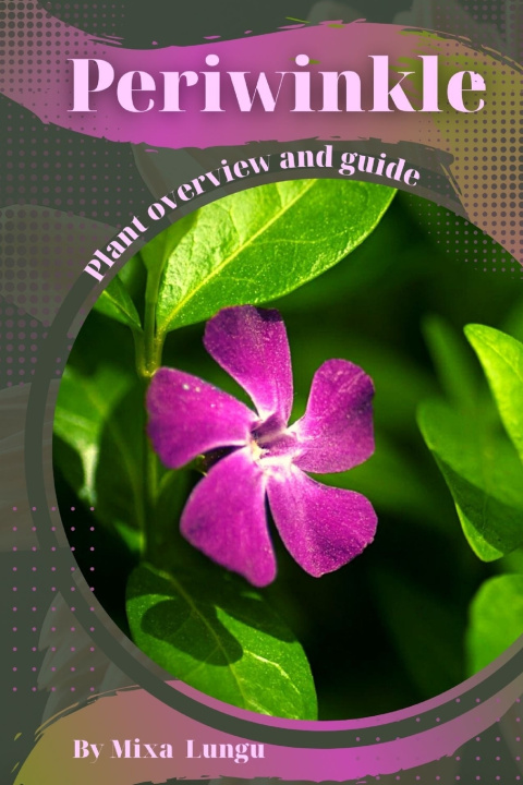 Kniha Periwinkle Mixa Lungu