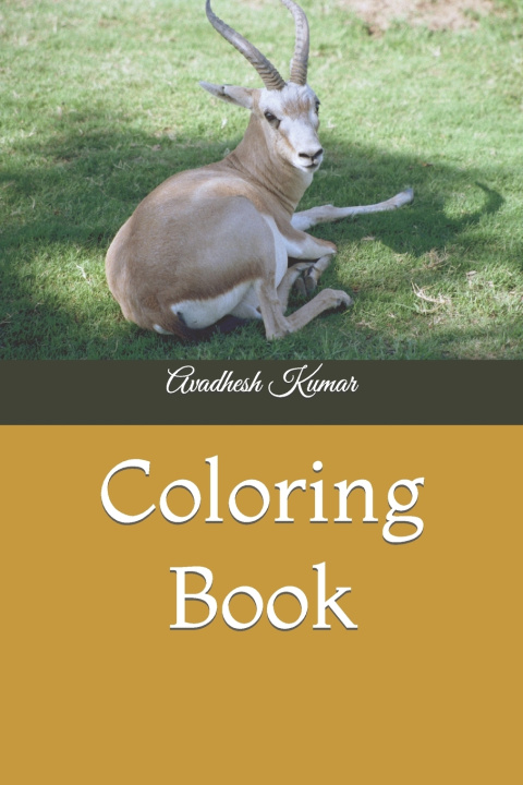 Kniha Coloring Book Avadhesh Kumar