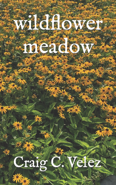 Kniha wildflower meadow Craig C Velez