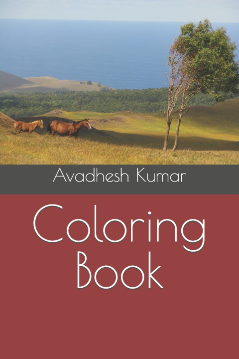 Book Coloring Book Avadhesh Kumar