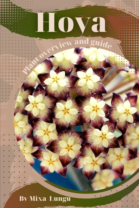 Buch Hoya Mixa Lungu
