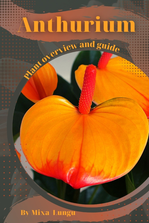 Kniha Anthurium Mixa Lungu