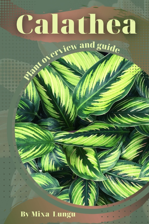 Kniha Calathea Mixa Lungu
