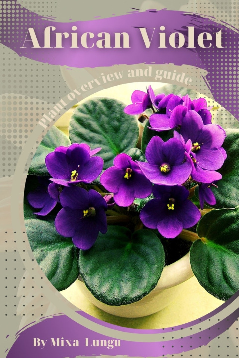 Kniha African Violet Mixa Lungu