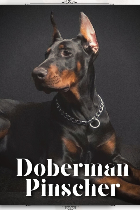 Kniha Doberman Pinscher Nina Pustova
