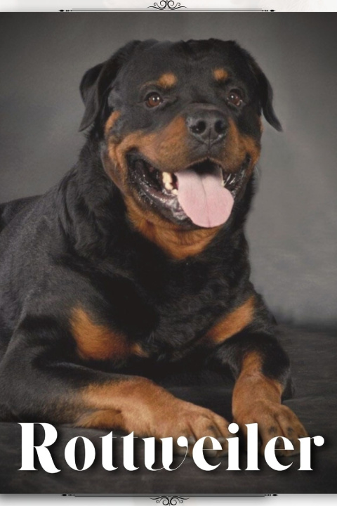 Kniha Rottweiler Nina Pustova